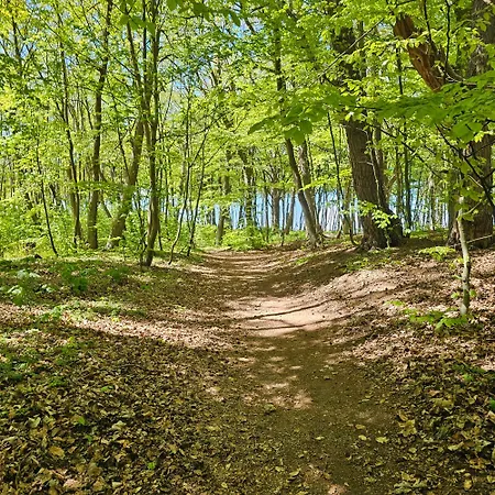 アパート Mietowy